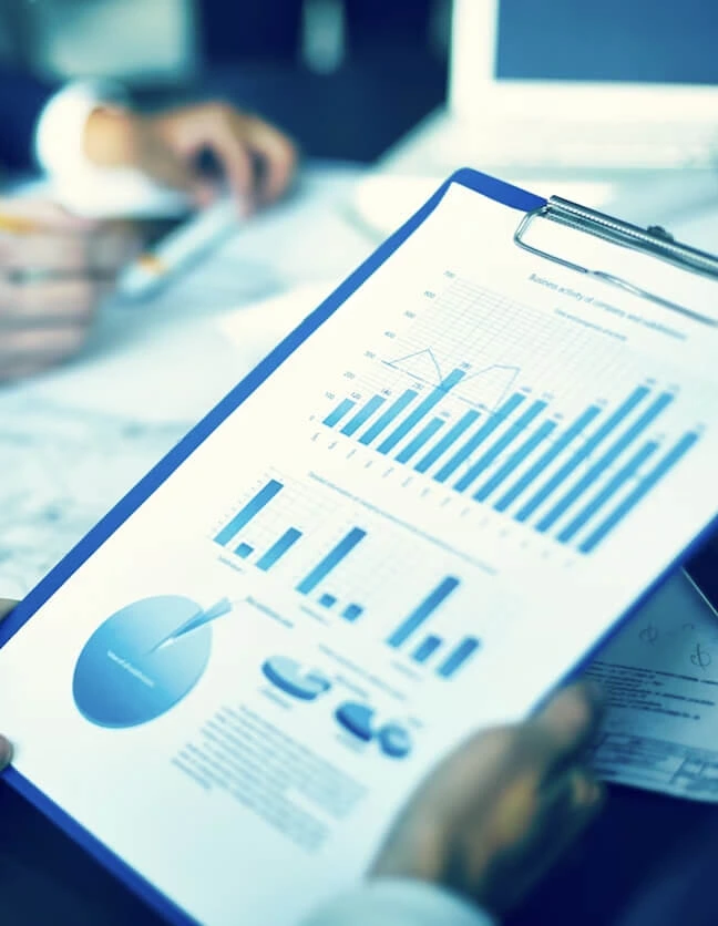 Business Analysts